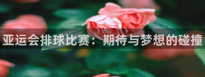 意昂4登录平台：亚运会排球比赛：期待与梦想的碰撞