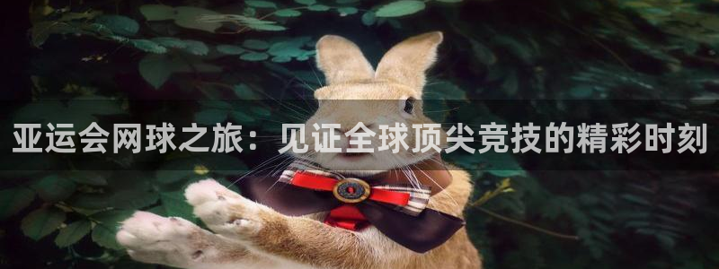 凯捷体育：亚运会网球之旅：见证全球顶尖竞技的精彩时刻