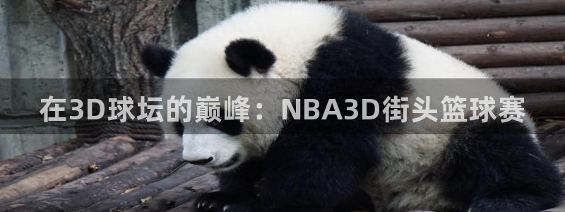 凯捷足球俱乐部：在3D球坛的巅峰：NBA3D街头篮球赛