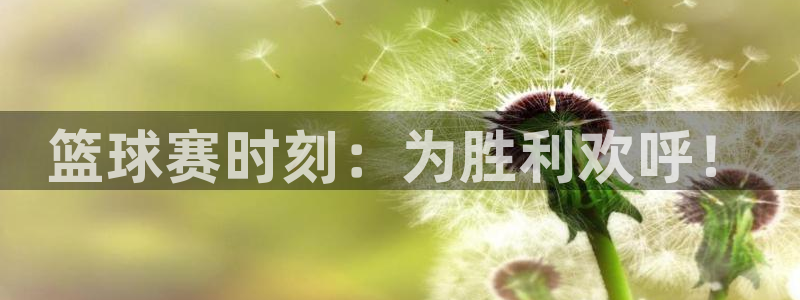 意昂4主管：篮球赛时刻：为胜利欢呼！