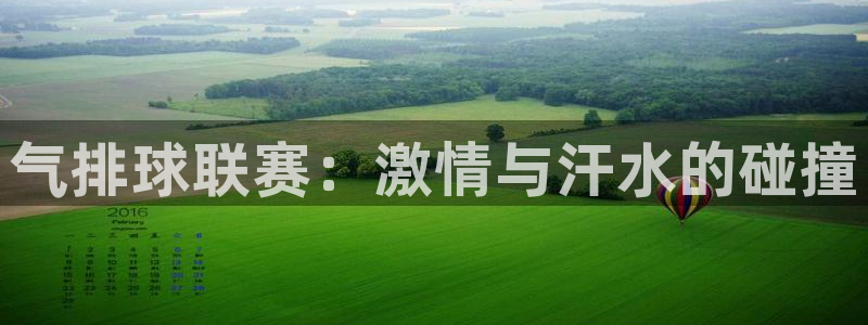 意昂4娱乐官网入口：气排球联赛：激情与汗水的碰撞